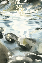 Carica l'immagine nel visualizzatore di Gallery, Pentatrittico 12 i 4 Elementi e la Quintessenza - relaxart.it