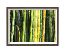 Carica l'immagine nel visualizzatore di Gallery, Acquerello Terra 09 - relaxart.it
