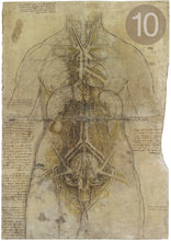 Carica l'immagine nel visualizzatore di Gallery, Disegni di Leonardo Da Vinci - relaxart.it
