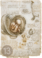 Carica l'immagine nel visualizzatore di Gallery, Disegni di Leonardo Da Vinci - relaxart.it
