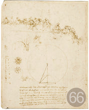 Carica l'immagine nel visualizzatore di Gallery, Disegni di Leonardo Da Vinci - relaxart.it
