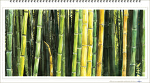 Carica l'immagine nel visualizzatore di Gallery, Collezione di 12 stampe Panoramiche - relaxart.it
